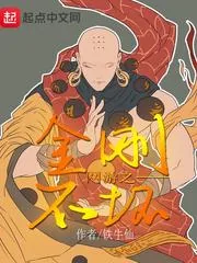 《网游之金刚不坏》小说封面
