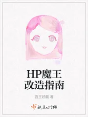 《HP魔王改造指南》小说封面