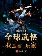 《全球武侠：我是唯一玩家》小说封面