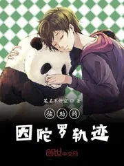 《佐助的因陀罗轨迹》小说封面