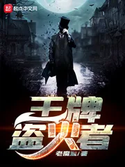 《王牌盗火者》小说封面