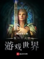 《我一个人的游戏世界》小说封面