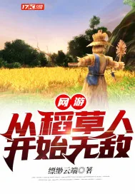 《网游：从稻草人开始无敌》小说封面