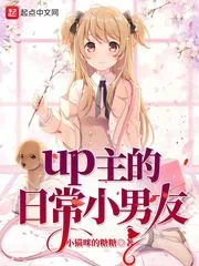 《up主的日常小男友》小说封面