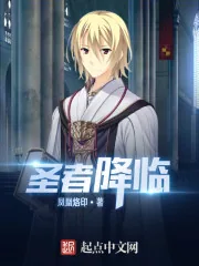 《圣者降临》小说封面