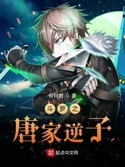 《斗罗之唐家逆子》小说封面