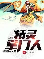 《精灵掌门人》小说封面