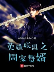 《英雄联盟之周家赘婿》小说封面