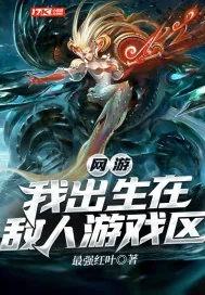 《网游：我出生在敌人游戏区》小说封面