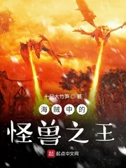 《海贼中的怪兽之王》小说封面