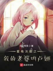 《霍格沃兹之我的老婆叫卢娜》小说封面