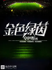 《金色绿茵》小说封面