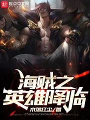 《海贼之英雄降临》小说封面