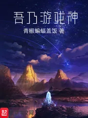 《吾乃游戏神》小说封面