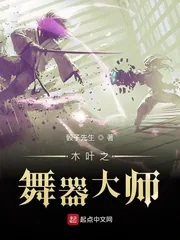 《木叶之舞器大师》小说封面