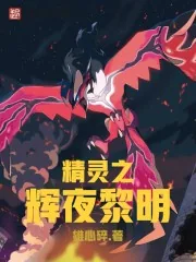 《精灵之辉夜黎明》小说封面