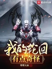 《我的轮回有点奇怪》小说封面