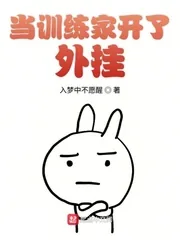 《当训练家开了外挂》小说封面