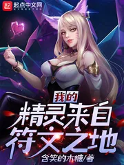 《我的精灵来自符文之地》小说封面