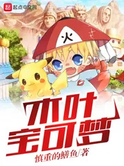 《木叶宝可梦》小说封面