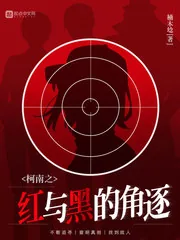 《柯南之红与黑的角逐》小说封面