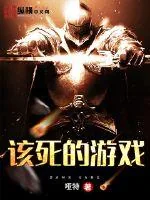 《该死的游戏》小说封面