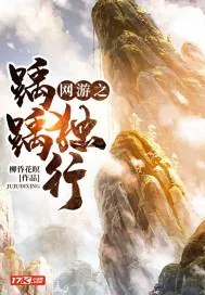 《网游之踽踽独行》小说封面