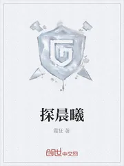 《探晨曦》小说封面