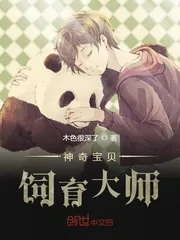 《神奇宝贝饲育大师》小说封面