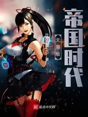 《无限版帝国时代》小说封面