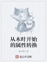 《从木叶开始的属性转换》小说封面