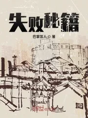 《失败秘籍》小说封面