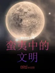 《蛮夷中的文明》小说封面