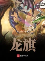 《于新世界高举龙旗》小说封面