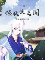 《开局拯救波之国》小说封面