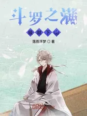 《斗罗之满级就下山》小说封面