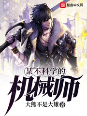 《某不科学的机械师》小说封面