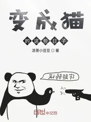 《变成猫的这些日子》小说封面