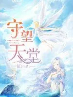 《守望天堂》小说封面