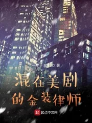 《混在美剧的金装律师》小说封面