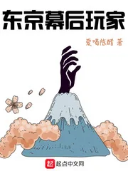 《东京幕后玩家》小说封面