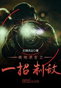 《绝地求生之一招制敌》小说封面