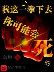 《我这一拳下去你可能会死的》小说封面