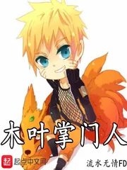 《木叶掌门人》小说封面