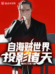 《自海贼世界投影诸天》小说封面