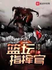 《篮坛指挥官》小说封面
