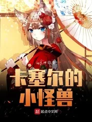 《卡塞尔的小怪兽》小说封面