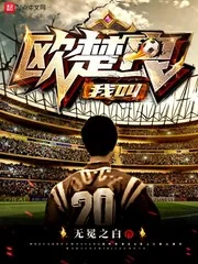 《我叫欧楚良》小说封面