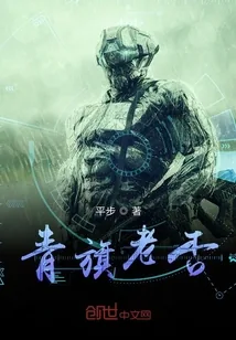 《青旗老否》小说封面