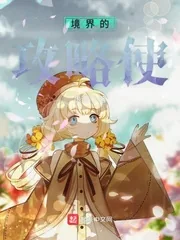 《境界的攻略使》小说封面
